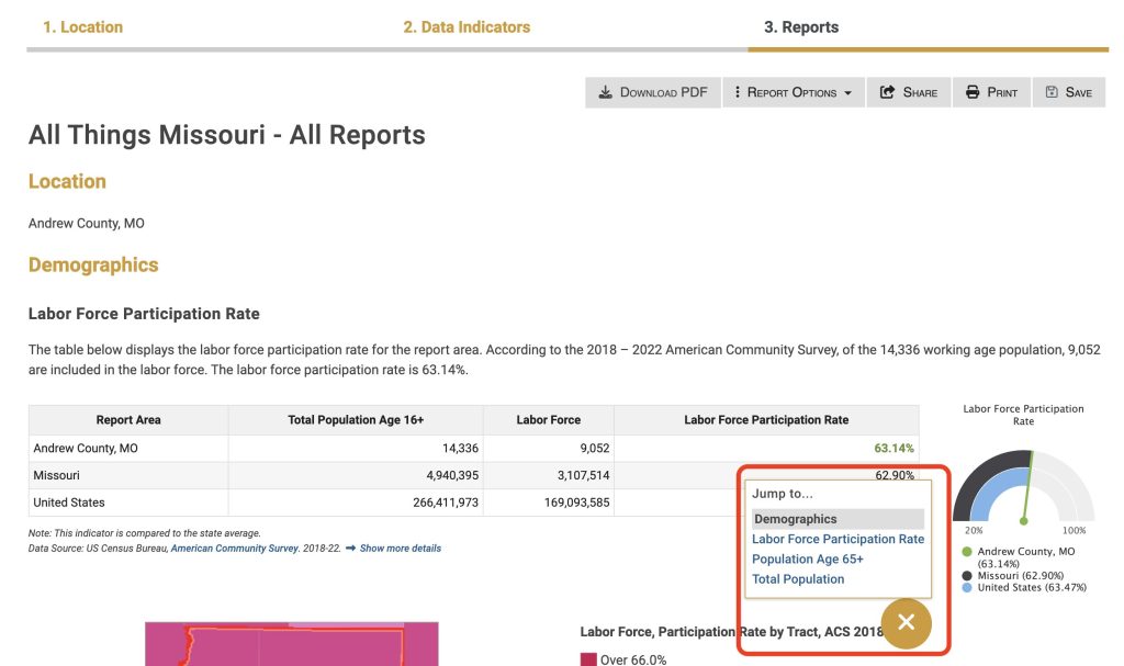 The report contains descriptions, tables, and maps of data selected in step 2. 